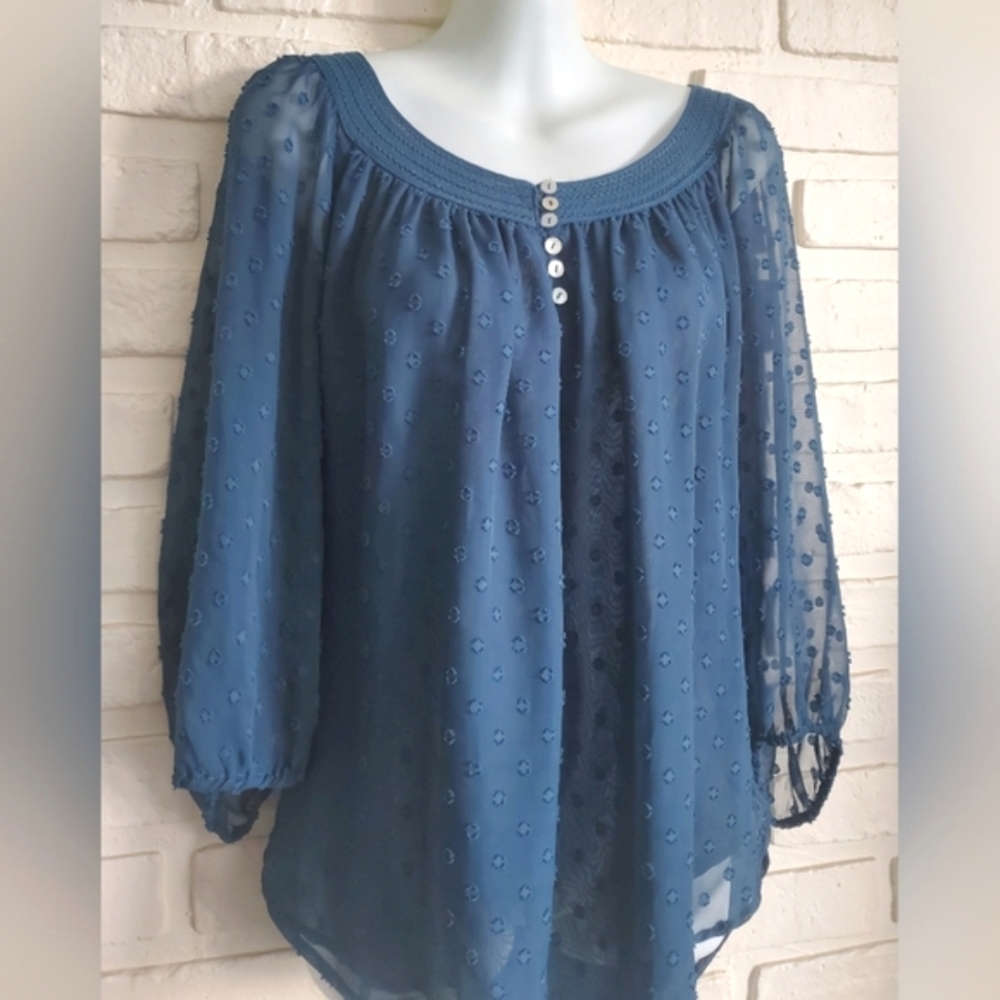 Daniel Rainn Chiffon Swiss Dot  Blouse Top Sheer 3/4 Sleeves Teal Size Medium